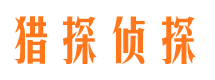 白下市私家侦探